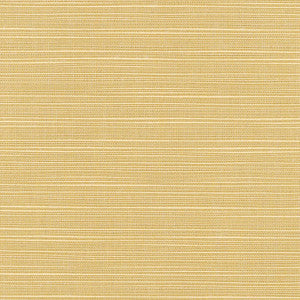 8013 Dupione Bamboo by Sunbrella Fabric