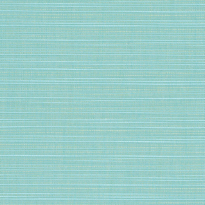 8067 V77 Dupione Celeste by Sunbrella Fabric Cushion Furniture Drapery Fabrics > Sunbrella® Rain 100% ACRYLIC USA or Imported n/a 54" - Fabric Carolina -
