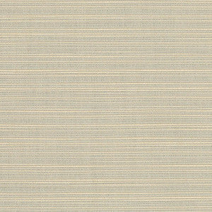 8069 Dupione Dove by Sunbrella Fabric