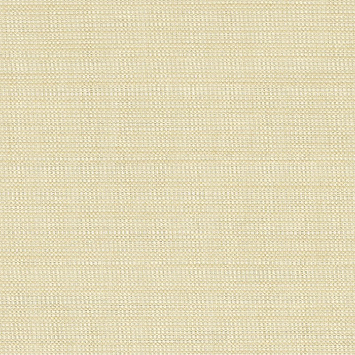8010 Dupione Pearl by Sunbrella Fabric Cushion Furniture Drapery Fabrics > Sunbrella Specialty Weaves 100% Acrylic USA or Imported n/a - Fabric is railroaded 54" - Fabric Carolina -