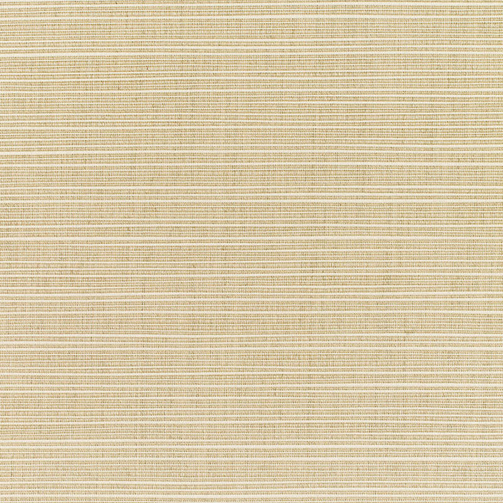 8011  Dupione Sand by Sunbrella Fabric our website for purchase 100% Sunbrella Acrylic USA (see sample) n/a - Fabric is railroaded 54"  - Fabric Carolina -