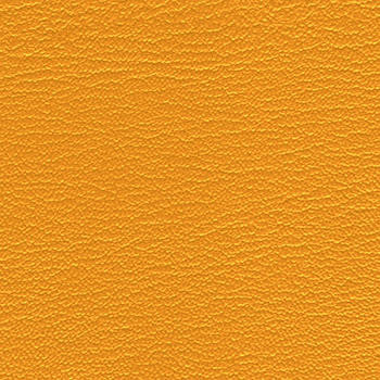 Duration Squash by Morbern Designer Fabric See sample 100% Vinyl  0 Horizontal: Not Applicable and Vertical: Not Applicable 54"  - Swanky Fabrics -