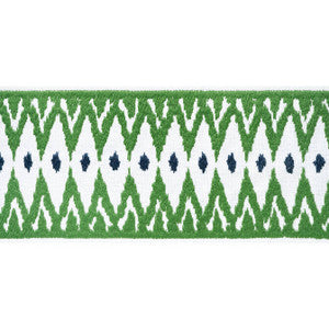 Delmont Tape Kelly E12050 by Thibaut Fabric