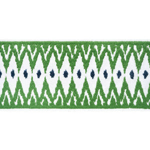 Delmont Tape Kelly E12050 by Thibaut Fabric