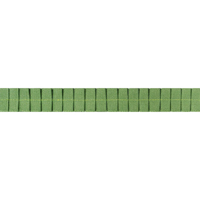 Pleated Tape Kelly E12060 by Thibaut Fabric Thibaut Fabric Pleated Tape Kelly E12060Fabric Tapes & Trims Volume 1 100% Cotton INDIA </p><p>Repeat: V: 0.37 0.87 - Fabric Carolina -