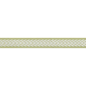Westport Tape Spring Green E81837 by Thibaut Fabric