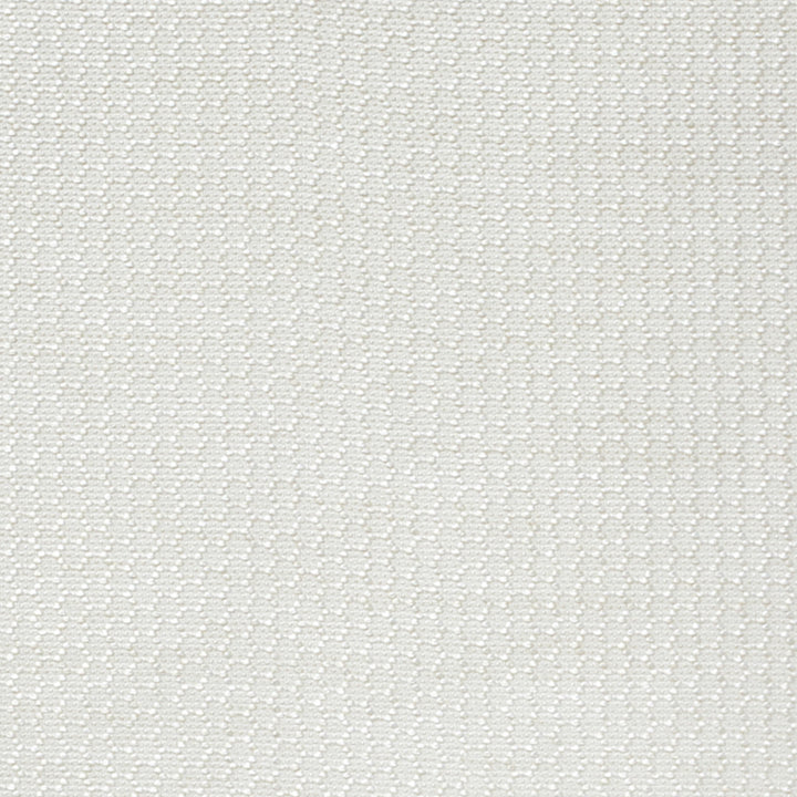 Earl 93J6431 by JF Fabric Artistry 100% Polyester China 40000 Horizontal: 0.125 and Vertical: 0.5 59 - Fabric Carolina -