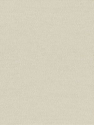 <p>Arena Beach Sand EA60030003 by Scalamandre Fabric</p><p><strong>Required Minimum Quantity Purchase: Fabrics by the yard 1 YARD MINIMUM </p><p>Book: ELEMENTS VI</p><p>Content: 100% SOLUTION DYED POLYPROPYLENE</p><p>Origin: ITALY</p><p>Performance: MEDIUM DUTY</p><p>Repeat: Horizontal: 0" and Vertical: 0"</p><p>Width: 55</p>