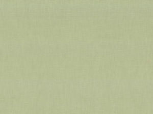 Ebbtide Aloe 203 by Norbar Fabric ALPINE 100% RECYCLED POLYESTER INDIA 55 - Fabric Carolina -