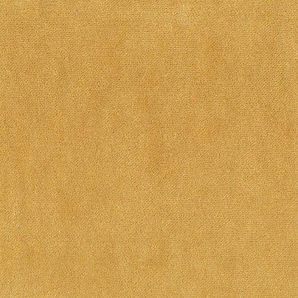 Eclipse 1 Goldenrod by Stout Fabric RAINBOW LIBRARY HONEY/CHARDONNAY 75%POL 25%COT CHINA FLAME RETARDANT-CA BULLETIN 117-SECTION E FLAME RETARDANT-U.F.A.C. CLASS 1 WYZENBEEK 200 000 DOUBLE RUB WEAR TEST(EXTREMELY HEAVY DUTY) </p><p>Repeat: 0 54 in - Fabric Carolina -