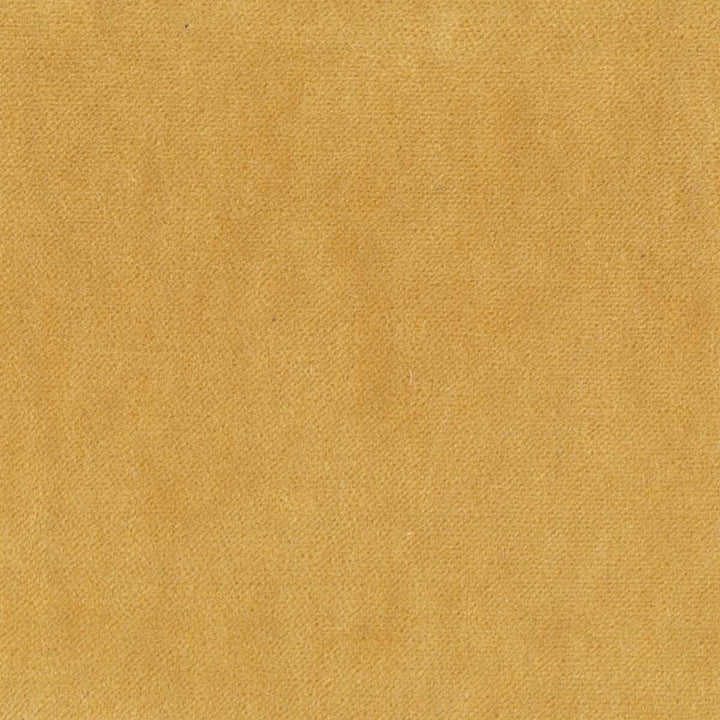 Eclipse 1 Goldenrod by Stout Fabric RAINBOW LIBRARY HONEY/CHARDONNAY 75%POL 25%COT CHINA FLAME RETARDANT-CA BULLETIN 117-SECTION E FLAME RETARDANT-U.F.A.C. CLASS 1 WYZENBEEK 200 000 DOUBLE RUB WEAR TEST(EXTREMELY HEAVY DUTY) </p><p>Repeat: 0 54 in - Fabric Carolina -