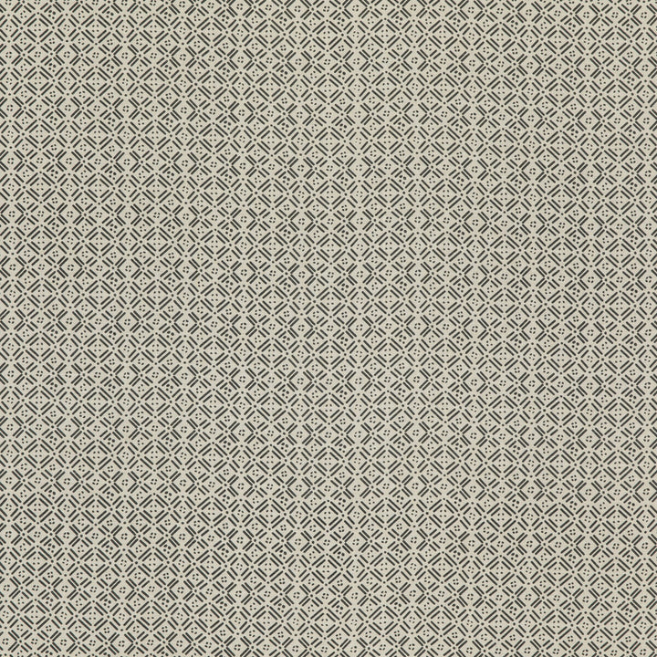 Aslin Charcoal by Threads Fabric MORO LINEN - 100% India - Horizontal: 6.304 and Vertical: 5.91 52.008 - Fabric Carolina -