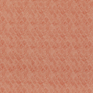 Boundary Spice by Threads Fabric