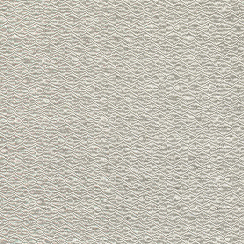 Boundary Dove by Threads Fabric NALA PRINTS COTTON - 60%;LINEN - 40% India - Horizontal: 6.698 and Vertical: 7.092 53.584 - Fabric Carolina -