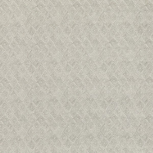 Boundary Dove by Threads Fabric