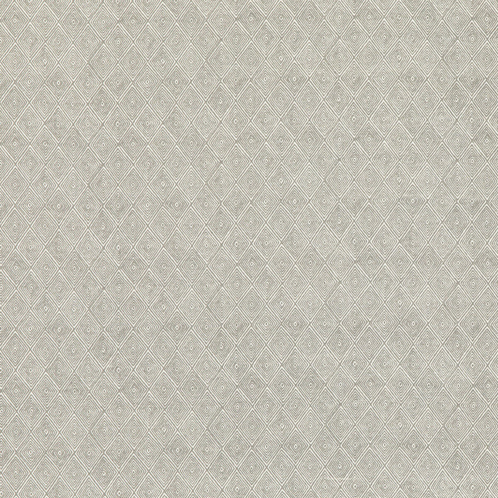 Boundary Dove by Threads Fabric NALA PRINTS COTTON - 60%;LINEN - 40% India Horizontal: 6.698 and Vertical: 7.092 53.584 - Fabric Carolina -