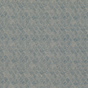 Boundary Indigo by Threads Fabric