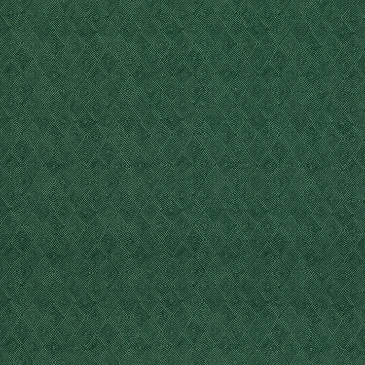 Boundary Emerald by Threads Fabric NALA PRINTS COTTON - 60%;LINEN - 40% India Horizontal: 6.698 and Vertical: 7.092 53.584 - Fabric Carolina -
