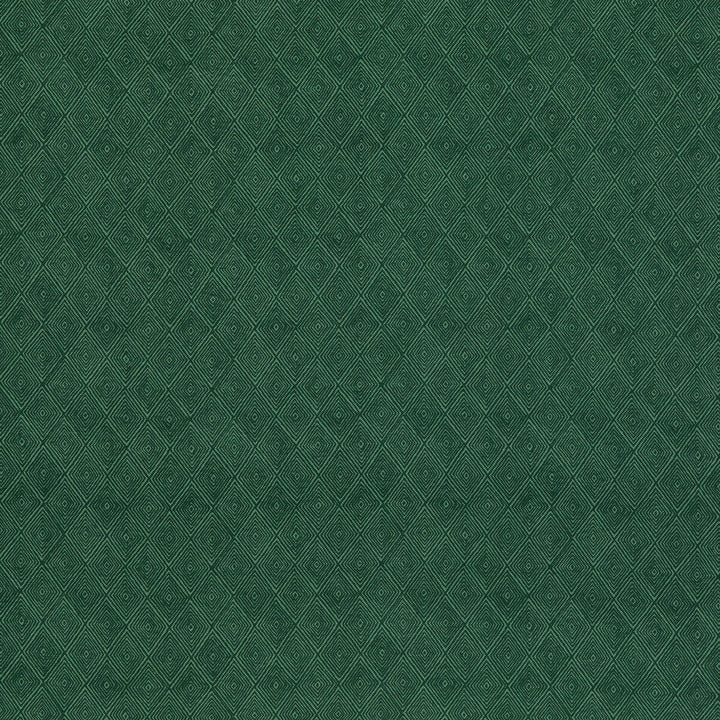 Boundary Emerald by Threads Fabric Threads Fabric Boundary EmeraldFabric NALA PRINTS COTTON - 60%;LINEN - 40% India </p><p>Repeat: H: 6.698, V: 7.092 53.584 - Fabric Carolina -