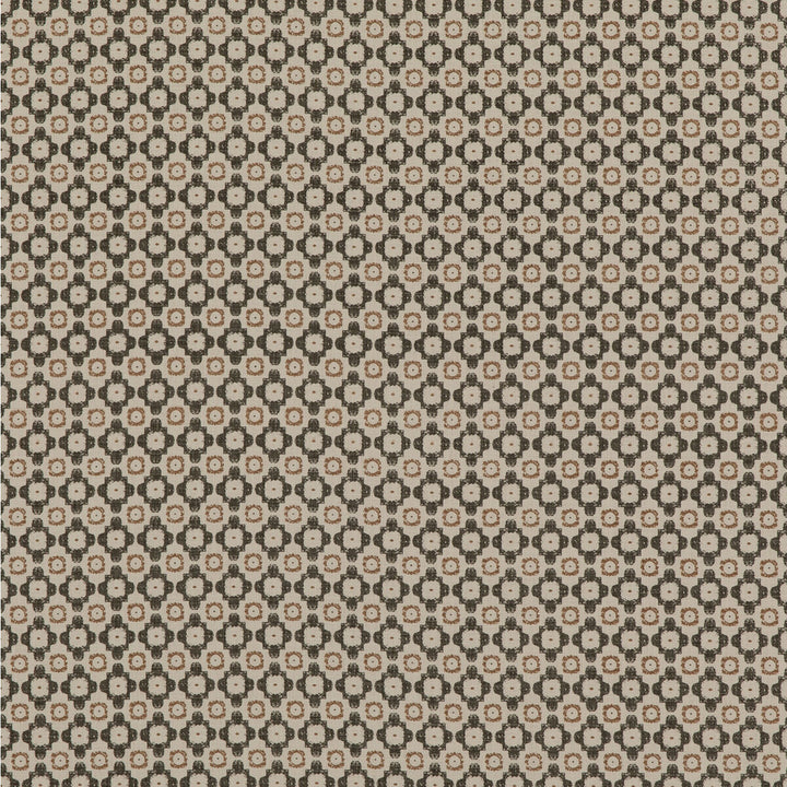 Ambit Charcoal by Threads Fabric NALA PRINTS COTTON - 100% India - Horizontal: 1.379 and Vertical: 1.576 53.19 - Fabric Carolina -