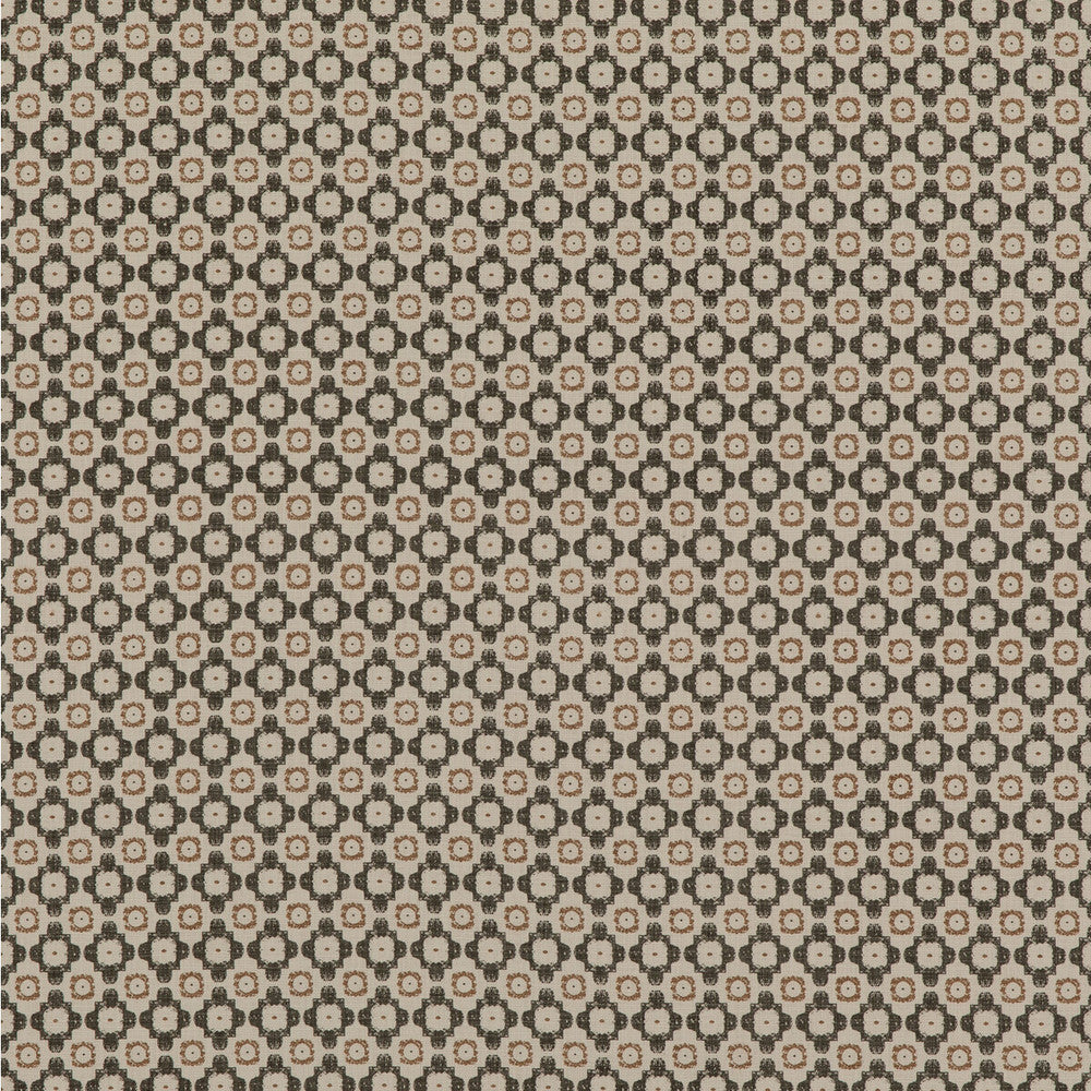 Ambit Charcoal by Threads Fabric NALA PRINTS COTTON - 100% India - Horizontal: 1.379 and Vertical: 1.576 53.19 - Fabric Carolina -