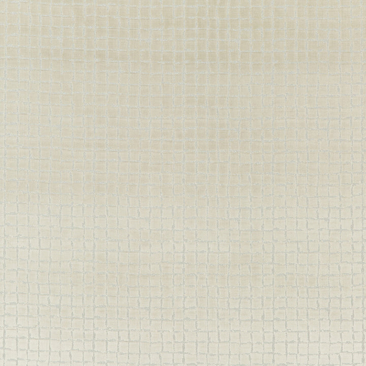 Odyssey Champagne by Threads Fabric ODYSSEY VISCOSE - 65%;COTTON - 30%;LUREX - 5% India HEAVY Horizontal: 9.062 and Vertical: 9.062 53.978 - Fabric Carolina -