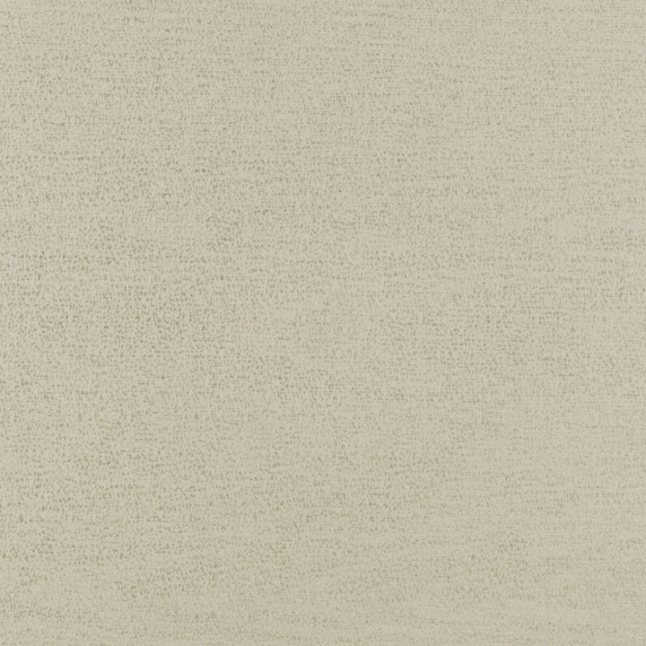 Astra Linen by Threads Fabric ODYSSEY COTTON - 45%;VISCOSE - 30%;POLYESTER - 25% Italy HEAVY Horizontal: 6.698 and Vertical: 11.82 53.978 - Fabric Carolina -