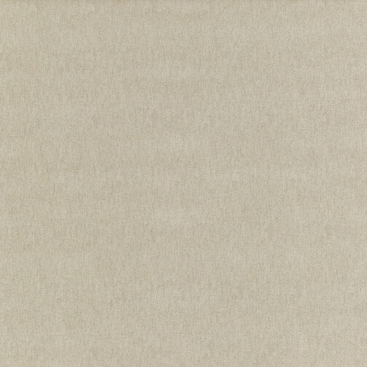 Leona Stone by Threads Fabric ODYSSEY VISCOSE - 51%;COTTON - 27%;POLYESTER - 12%;LINEN - 5%;ACRYLIC - 3%;NYLON - 2% Italy HEAVY Horizontal: - and Vertical: - 53.978 - Fabric Carolina -