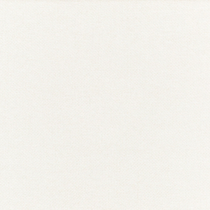 Cami Ivory by Threads Designer Fabric ODYSSEY VISCOSE - 65%;COTTON - 35% Italy HEAVY Horizontal: and Vertical: 53.978 - Swanky Fabrics -