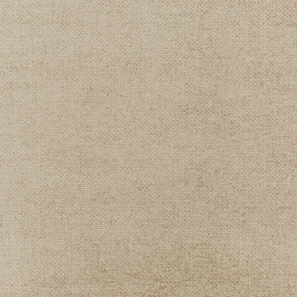 Cami Champagne by Threads Fabric ODYSSEY VISCOSE - 65%;COTTON - 35% Italy HEAVY Horizontal: - and Vertical: - 53.978 - Fabric Carolina -