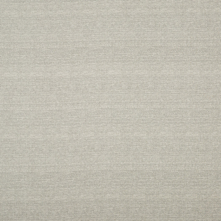 Molina Platinum by Threads Fabric ODYSSEY VISCOSE - 66%;COTTON - 18%;LINEN - 13%;ACRYLIC - 3% Italy HEAVY Horizontal: and Vertical: 53.978 - Fabric Carolina -
