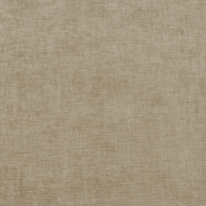 Meridian Velvet Oatmeal by Threads Fabric MERIDIAN VISCOSE - 51%;COTTON - 40%;POLYESTER - 9% Italy HEAVY Horizontal: - and Vertical: - 55.16 - Fabric Carolina -