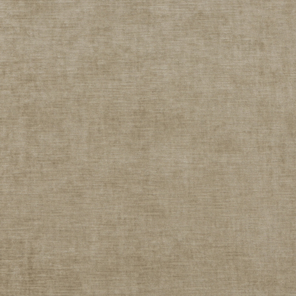 Meridian Velvet Oatmeal by Threads Fabric MERIDIAN VISCOSE - 51%;COTTON - 40%;POLYESTER - 9% Italy HEAVY Horizontal: and Vertical: 55.16 - Fabric Carolina -