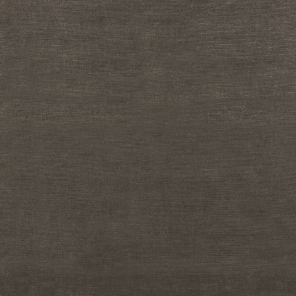 Meridian Velvet Mink by Threads Fabric MERIDIAN VISCOSE - 51%;COTTON - 40%;POLYESTER - 9% Italy HEAVY Horizontal: - and Vertical: - 55.16 - Fabric Carolina -