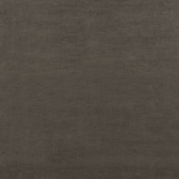 Meridian Velvet Mink by Threads Fabric MERIDIAN VISCOSE - 51%;COTTON - 40%;POLYESTER - 9% Italy HEAVY Horizontal: - and Vertical: - 55.16 - Fabric Carolina -