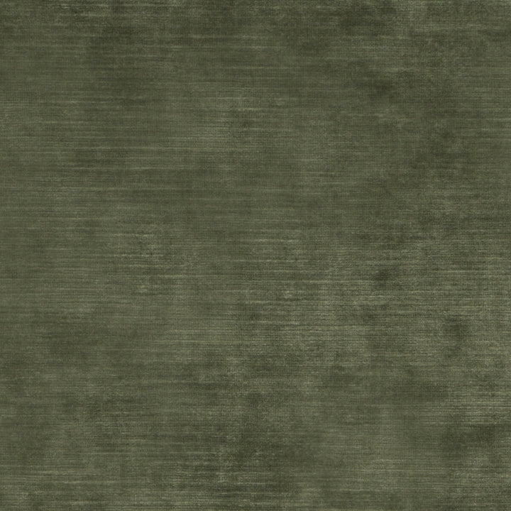 Meridian Velvet Fern by Threads Fabric MERIDIAN VISCOSE - 51%;COTTON - 40%;POLYESTER - 9% Italy HEAVY Horizontal: and Vertical: 55.16 - Fabric Carolina -