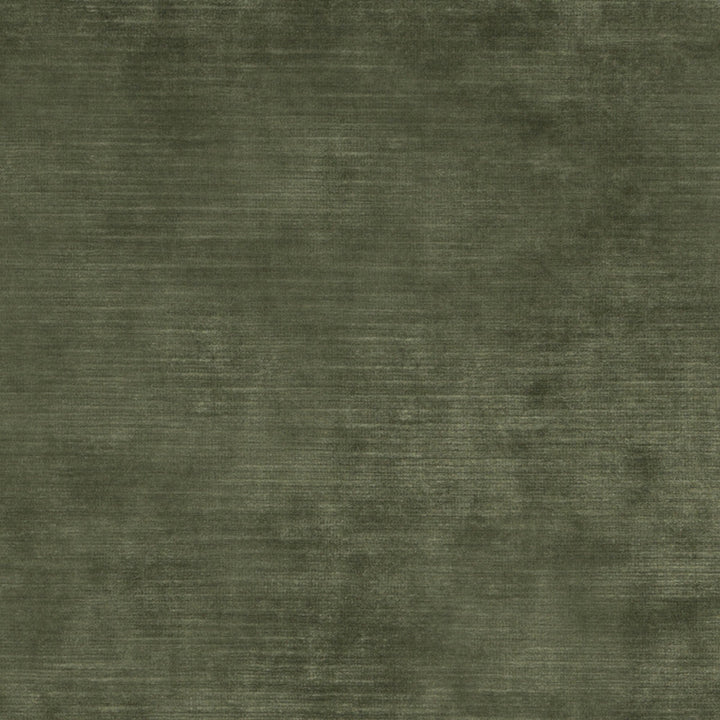 Meridian Velvet Fern by Threads Fabric Threads Fabric Meridian Velvet FernFabric MERIDIAN VISCOSE - 51%;COTTON - 40%;POLYESTER - 9% Italy </p><p>Repeat: H: , V: 55.16 - Fabric Carolina -