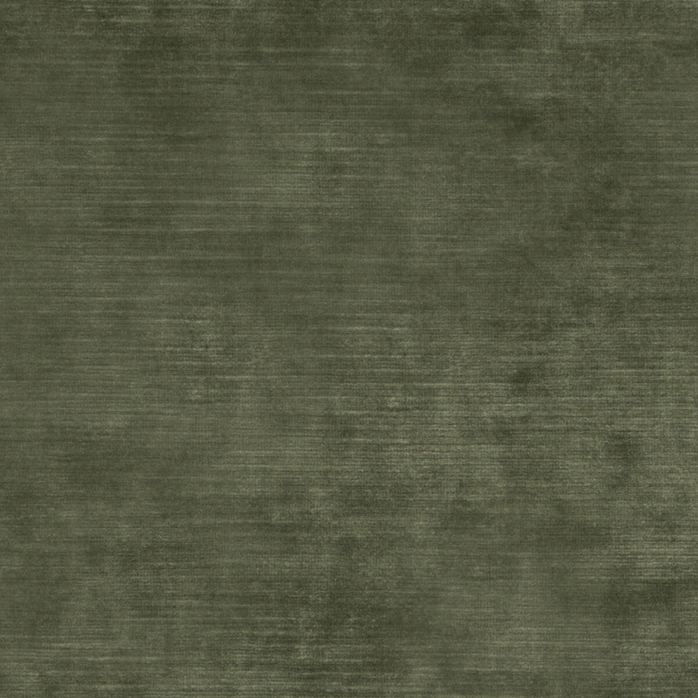 Meridian Velvet Fern by Threads Fabric MERIDIAN VISCOSE - 51%;COTTON - 40%;POLYESTER - 9% Italy HEAVY Horizontal: - and Vertical: - 55.16 - Fabric Carolina -