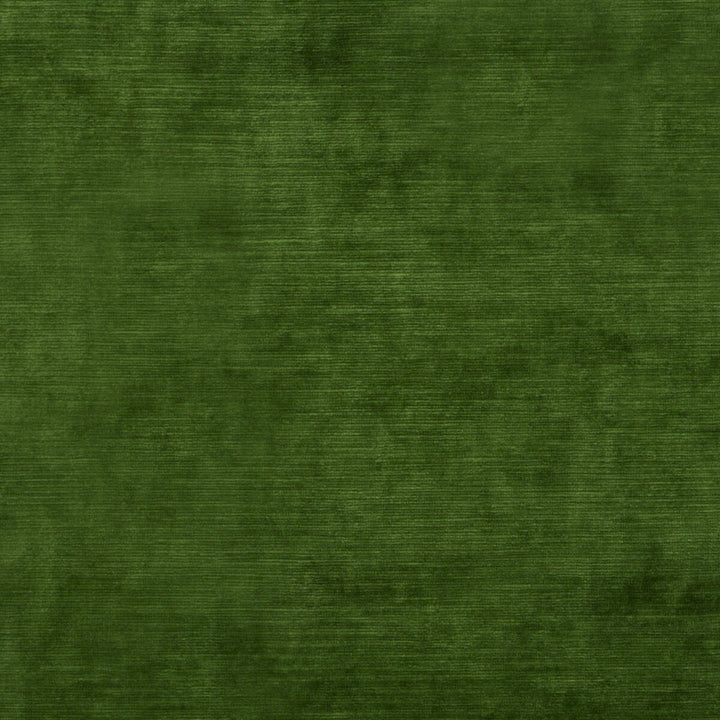Meridian Velvet Emerald by Threads Fabric MERIDIAN VISCOSE - 51%;COTTON - 40%;POLYESTER - 9% Italy HEAVY Horizontal: and Vertical: 55.16 - Fabric Carolina -