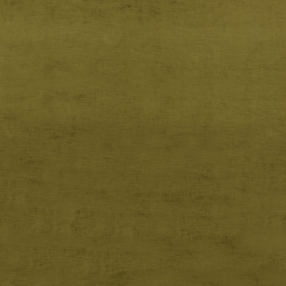 Meridian Velvet Moss by Threads Fabric MERIDIAN VISCOSE - 51%;COTTON - 40%;POLYESTER - 9% Italy HEAVY Horizontal: and Vertical: 55.16 - Fabric Carolina -