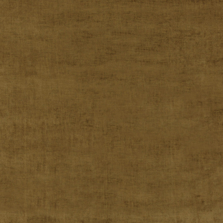 Meridian Velvet Bronze by Threads Designer Fabric MERIDIAN VISCOSE - 51%;COTTON - 40%;POLYESTER - 9% Italy HEAVY Horizontal: and Vertical: 55.16 - Swanky Fabrics -