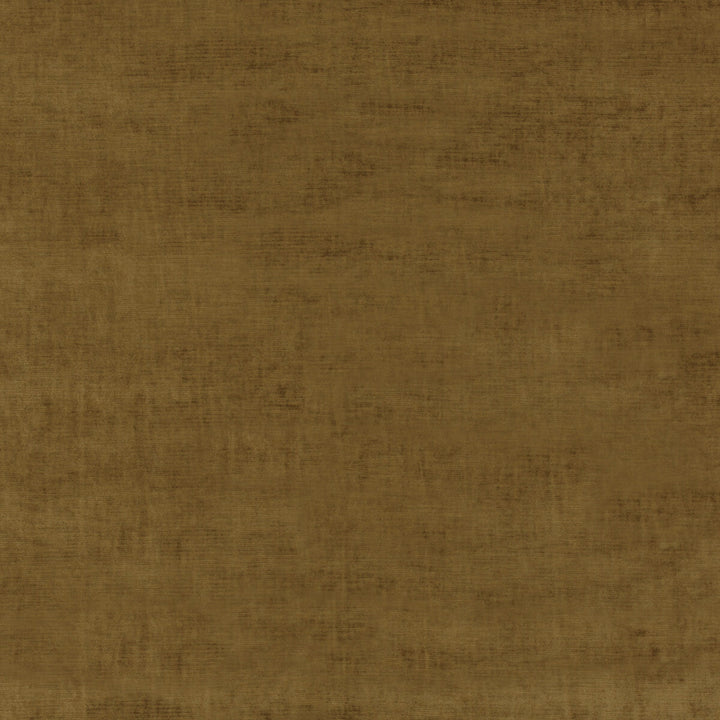 Meridian Velvet Bronze by Threads Fabric MERIDIAN VISCOSE - 51%;COTTON - 40%;POLYESTER - 9% Italy HEAVY Horizontal: - and Vertical: - 55.16 - Fabric Carolina -