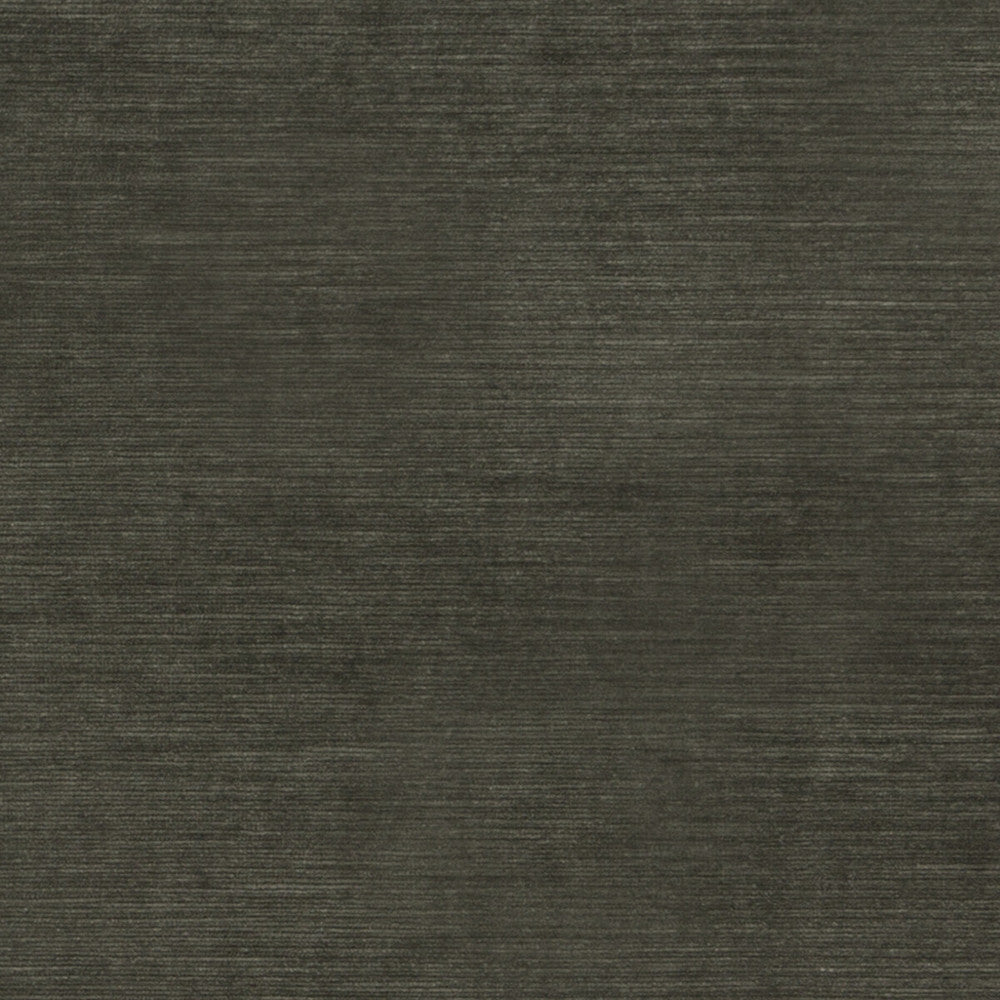 Meridian Velvet Charcoal by Threads Fabric MERIDIAN VISCOSE - 51%;COTTON - 40%;POLYESTER - 9% Italy HEAVY Horizontal: - and Vertical: - 55.16 - Fabric Carolina -
