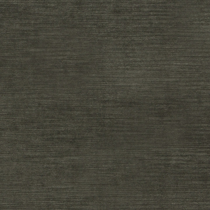 Meridian Velvet Charcoal by Threads Fabric MERIDIAN VISCOSE - 51%;COTTON - 40%;POLYESTER - 9% Italy HEAVY Horizontal: - and Vertical: - 55.16 - Fabric Carolina -