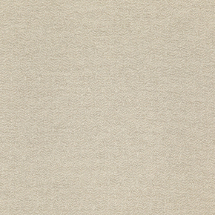 Capo Taupe by Threads Designer Fabric LUXURY WEAVES LINEN - 44%;COTTON - 22%;ACRYLIC - 20%;BAMBOO - 8%;NYLON - 6% Belgium HEAVY Horizontal: 2.364 and Vertical: 4.728 52.796 - Swanky Fabrics -
