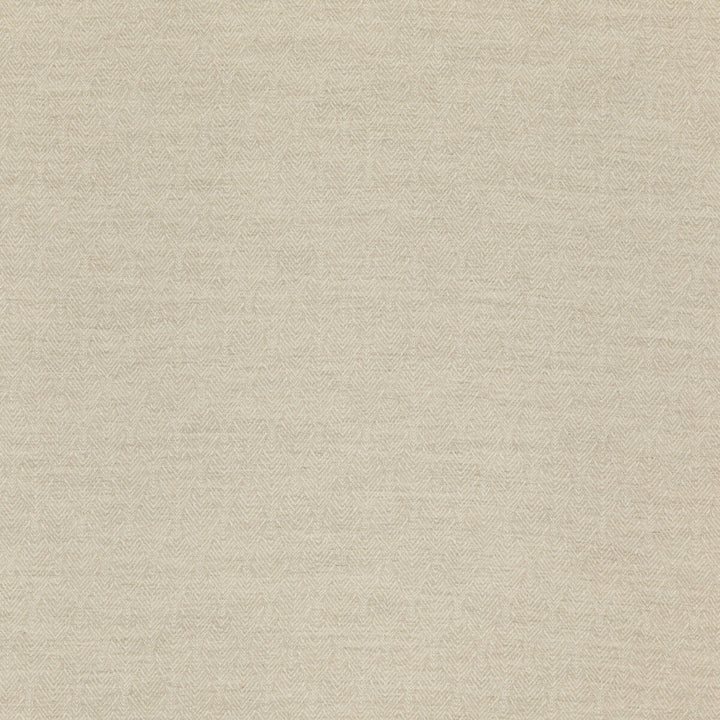 Capo Taupe by Threads Fabric LUXURY WEAVES LINEN - 44%;COTTON - 22%;ACRYLIC - 20%;BAMBOO - 8%;NYLON - 6% Belgium HEAVY Horizontal: 2.364 and Vertical: 4.728 52.796 - Fabric Carolina -