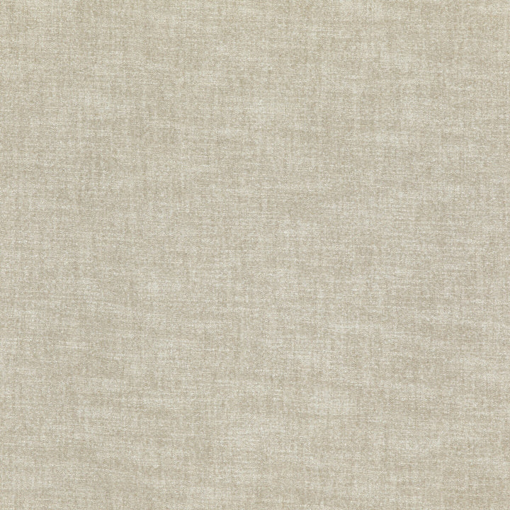 Ambrose Taupe by Threads Fabric LUXURY WEAVES LINEN - 67%;VISCOSE - 25%;NYLON - 5%;COTTON - 3% Belgium HEAVY Horizontal: and Vertical: 53.978 - Fabric Carolina -