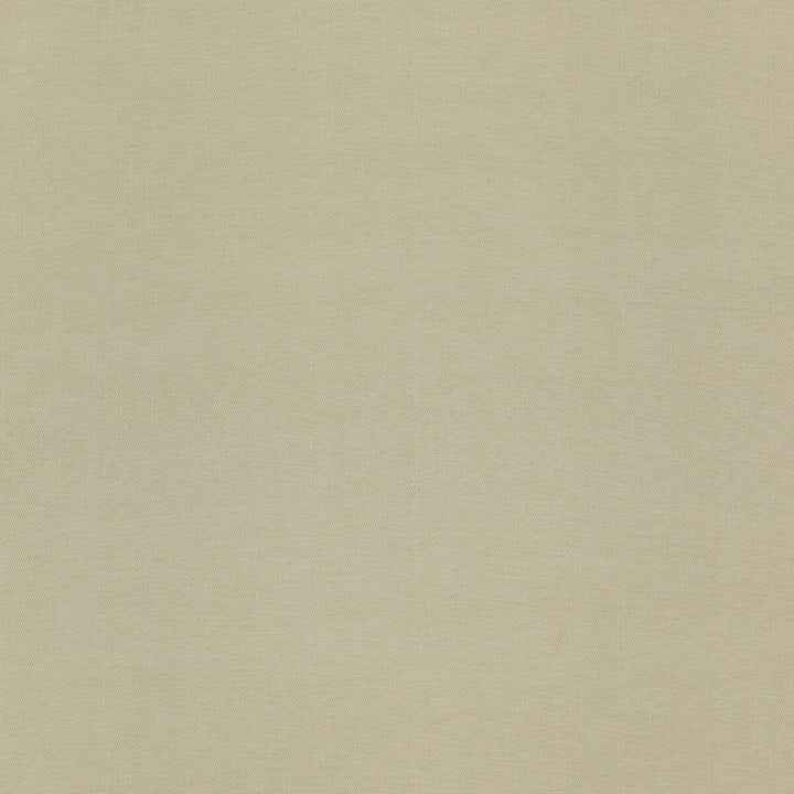 Dorsey Flax by Threads Fabric GREAT STRIPES COTTON - 100% India HEAVY Horizontal: and Vertical: 4.728 52.796 - Fabric Carolina -