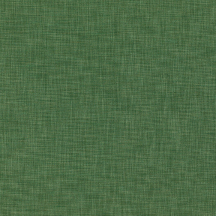 Kalahari Green by Threads Fabric ESSENTIAL WEAVES COTTON - 76%;POLYESTER - 24% Italy - Horizontal: - and Vertical: - 53.978 - Fabric Carolina -