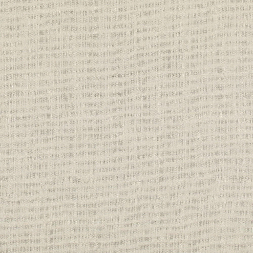 Stipple Ivory by Threads Designer Fabric LUXURY WEAVES II VISCOSE - 51%;LINEN - 24%;COTTON - 17%;POLYCOTTON - 6%;POLYESTER - 2% Italy Horizontal: and Vertical: 55.16 - Swanky Fabrics -